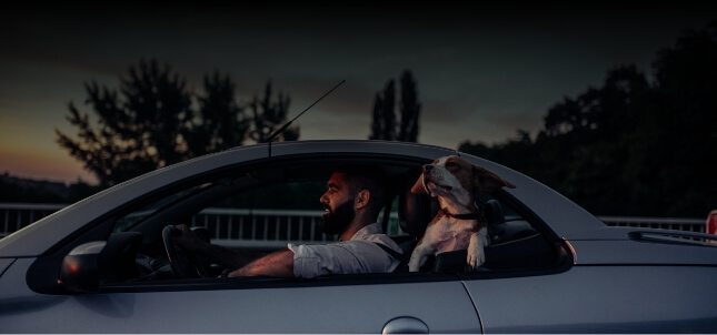 Driven to Care Mobile